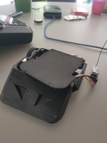 17572443019578324500051531598842