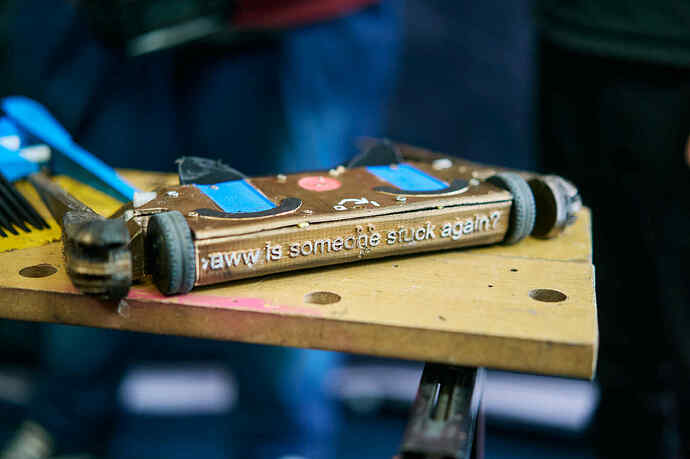 aww is someone stuck again